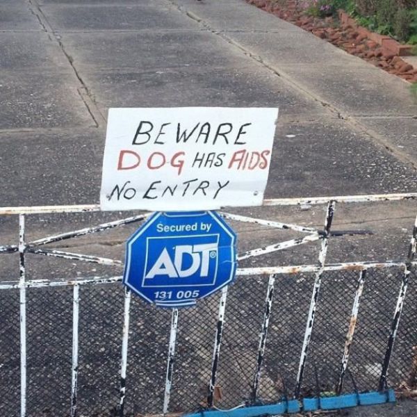 morning picdump 51 pics 21.html - 51 HD Photos | Premium Gallery 2013