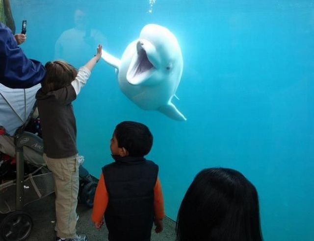 morning picdump 51 pics 21.html - 51 HD Photos | Premium Gallery 2013