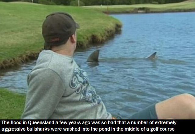 morning picdump 51 pics 19.html - 51 HD Photos | Premium Gallery 2013