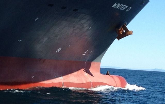 morning picdump 51 pics 19.html - 51 HD Photos | Premium Gallery 2013