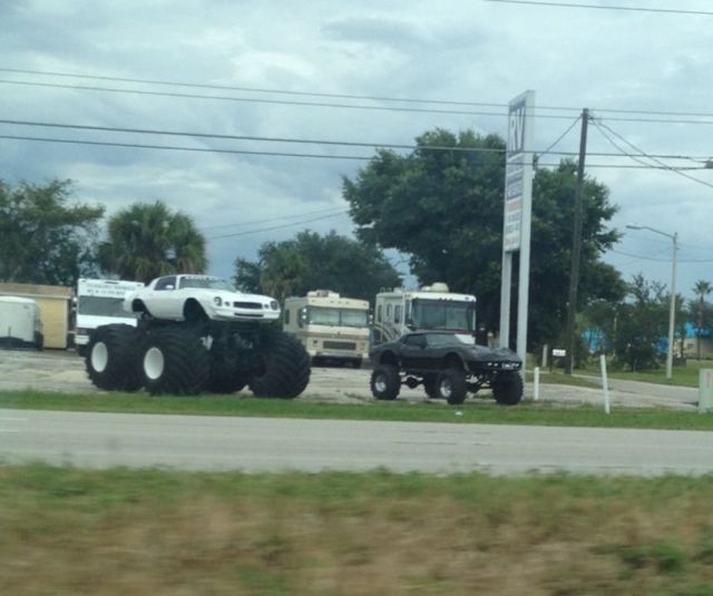 morning picdump 61 pics 28.html - 61 HD Photos | Premium Gallery 2013