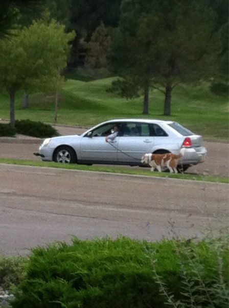 morning picdump 61 pics 28.html - 61 HD Photos | Premium Gallery 2013