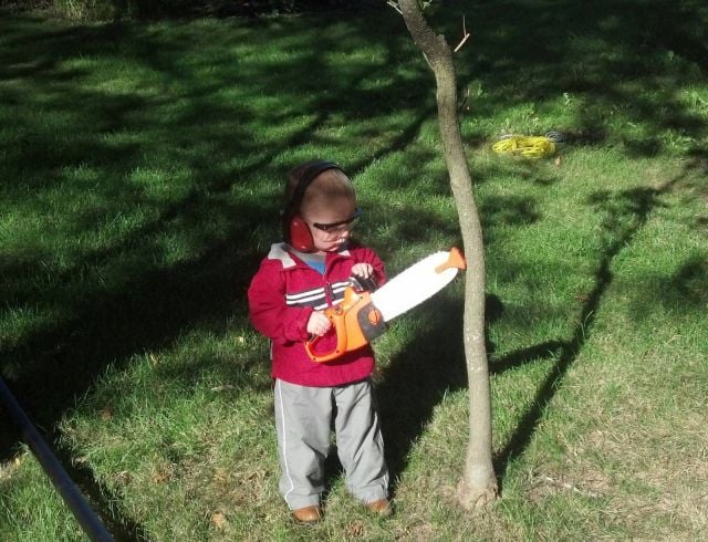 morning picdump 61 pics 28.html - 61 HD Photos | Premium Gallery 2013