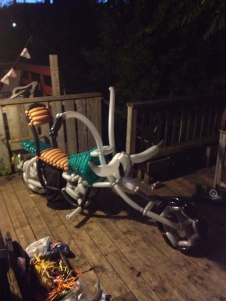 morning picdump 61 pics 28.html - 61 HD Photos | Premium Gallery 2013