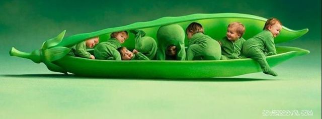 morning picdump 52 pics 8.html - 52 HD Photos | Premium Gallery 2013