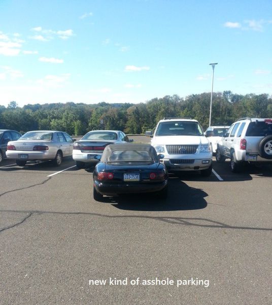 morning picdump 52 pics 8.html - 52 HD Photos | Premium Gallery 2013