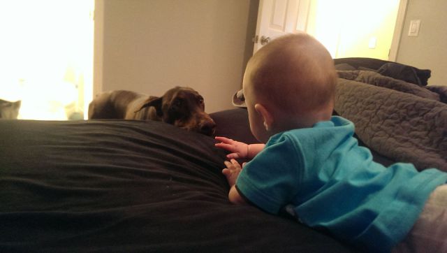 morning picdump 52 pics 8.html - 52 HD Photos | Premium Gallery 2013