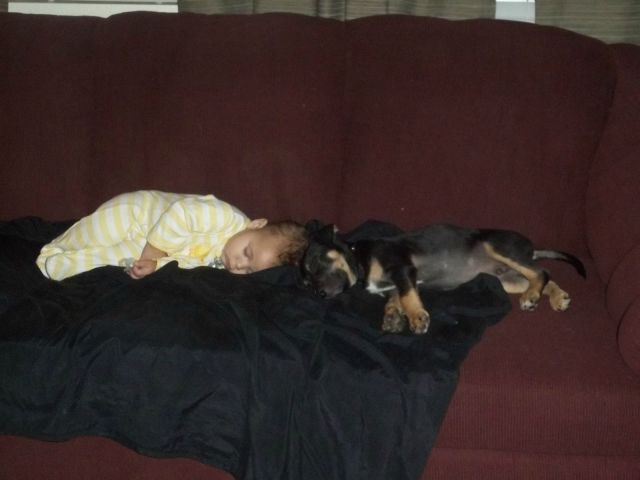 morning picdump 57 pics 3.html - 57 HD Photos | Premium Gallery 2013