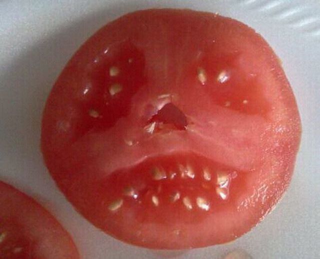 morning picdump 63 pics 2.html - 63 HD Photos | Premium Gallery 2013