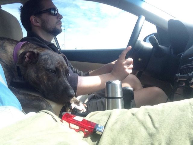 morning picdump 63 pics 2.html - 63 HD Photos | Premium Gallery 2013