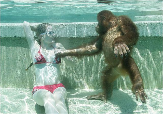 morning picdump 63 pics 2.html - 63 HD Photos | Premium Gallery 2013