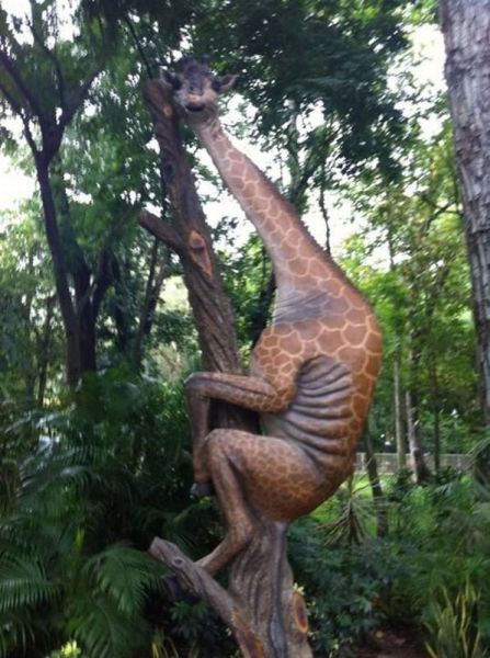 morning picdump 63 pics 2.html - 63 HD Photos | Premium Gallery 2013