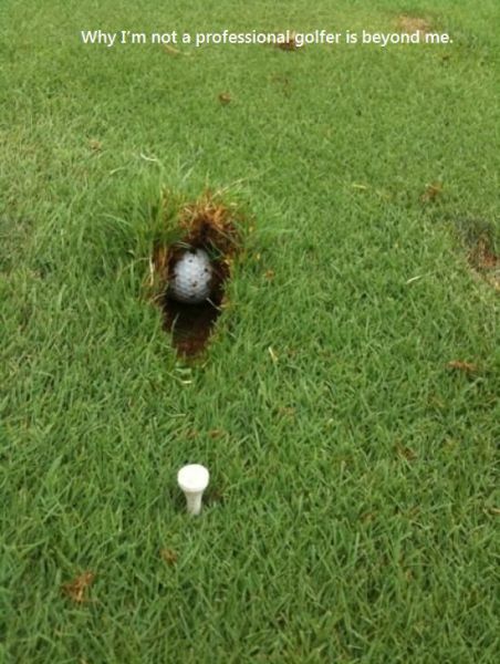 morning picdump 51 pics 4.html - 51 HD Photos | Premium Gallery 2013