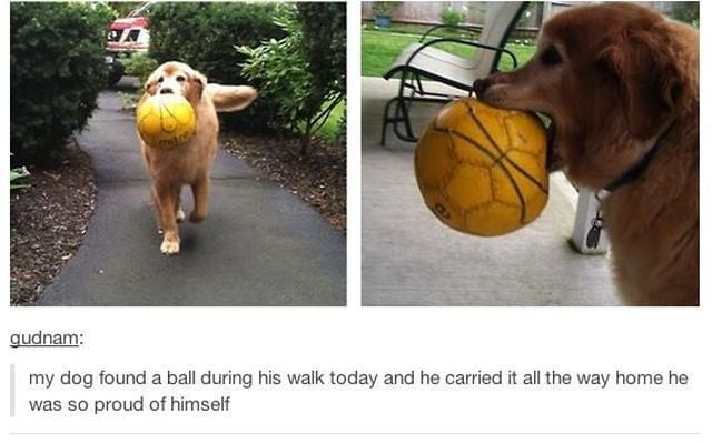 morning picdump 51 pics 4.html - 51 HD Photos | Premium Gallery 2013