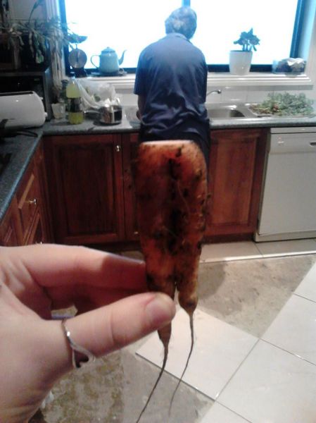 morning picdump 59 pics 2.html - 59 HD Photos | Premium Gallery 2013