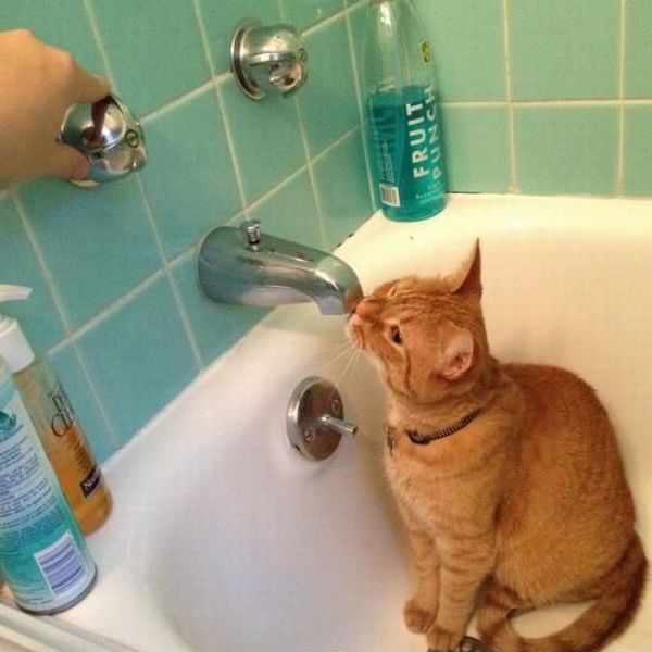 morning picdump 59 pics 2.html - 59 HD Photos | Premium Gallery 2013