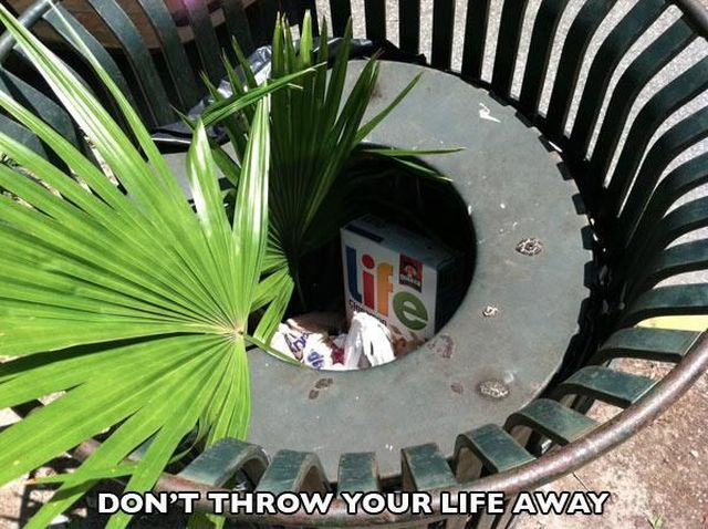 morning picdump 59 pics 2.html - 59 HD Photos | Premium Gallery 2013