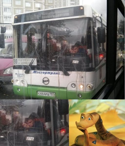 morning picdump 57 pics 5.html - 57 HD Photos | Premium Gallery 2013