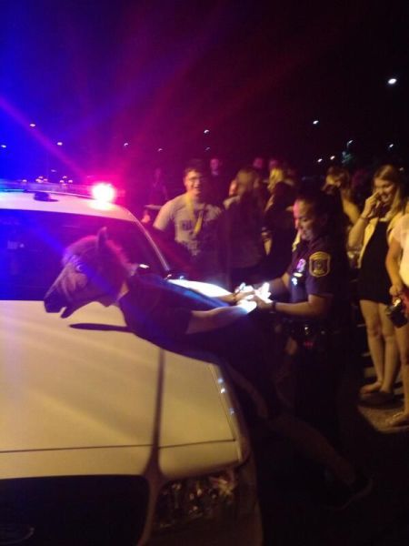 morning picdump 57 pics 5.html - 57 HD Photos | Premium Gallery 2013