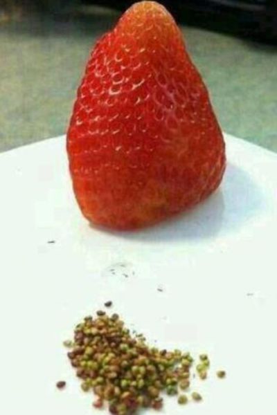 morning picdump 55 pics 19.html - 55 HD Photos | Premium Gallery 2013