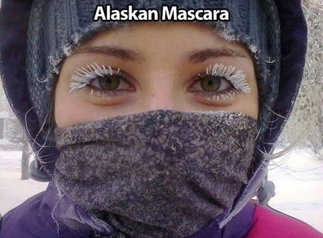 Morning Picdump