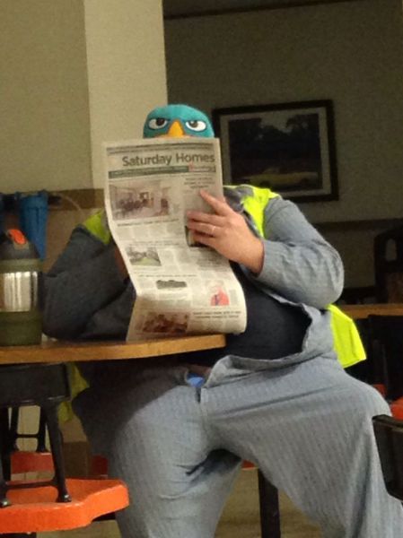 Morning Picdump