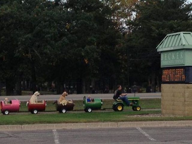 morning picdump 52 pics 2.html - 52 HD Photos | Premium Gallery 2013