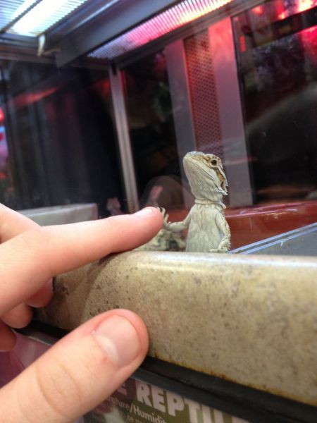 morning picdump 52 pics 2.html - 52 HD Photos | Premium Gallery 2013