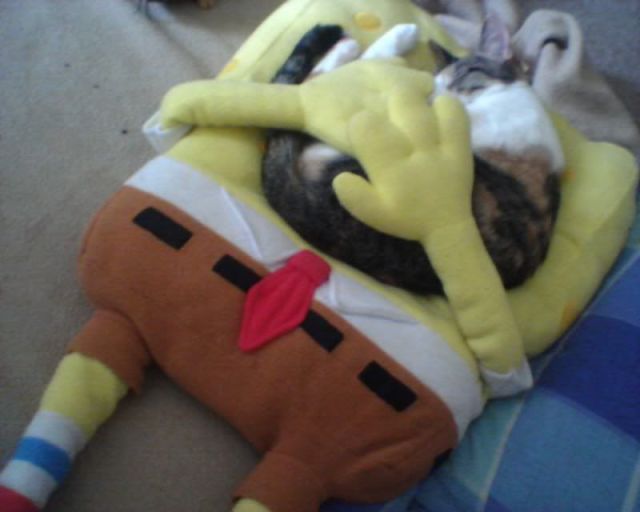 morning picdump 52 pics 2.html - 52 HD Photos | Premium Gallery 2013