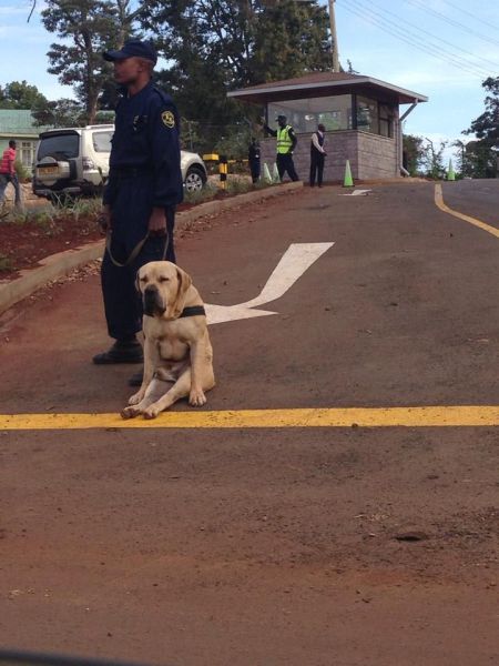 morning picdump 57 pics 2.html - 57 HD Photos | Premium Gallery 2013