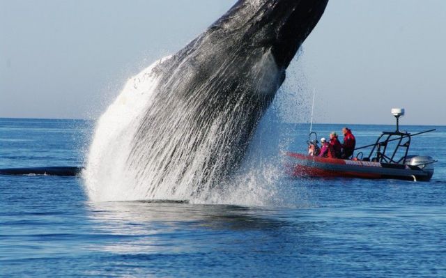 morning picdump 57 pics 2.html - 57 HD Photos | Premium Gallery 2013