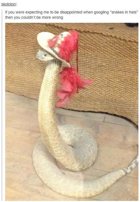 morning picdump 57 pics 2.html - 57 HD Photos | Premium Gallery 2013