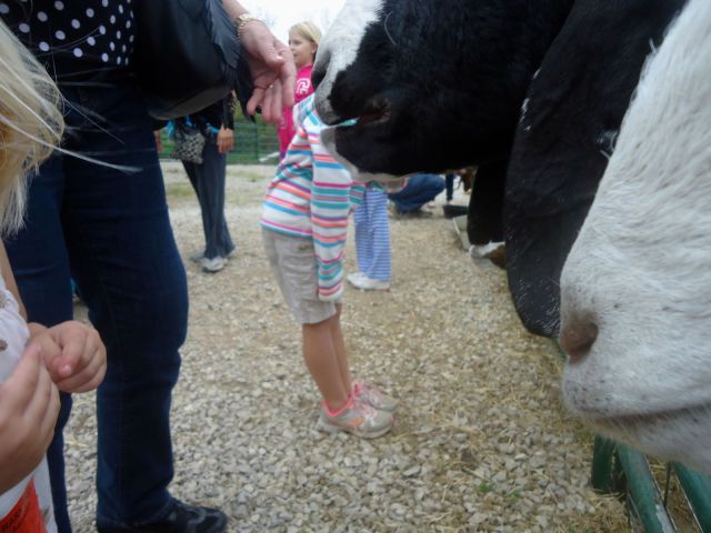 morning picdump 57 pics 5.html - 57 HD Photos | Premium Gallery 2013