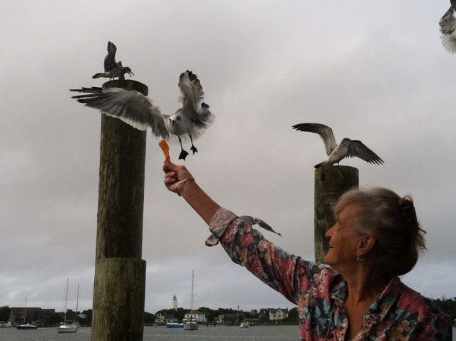 morning picdump 57 pics 5.html - 57 HD Photos | Premium Gallery 2013