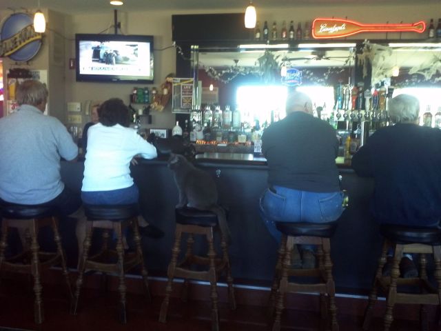 morning picdump 57 pics 5.html - 57 HD Photos | Premium Gallery 2013