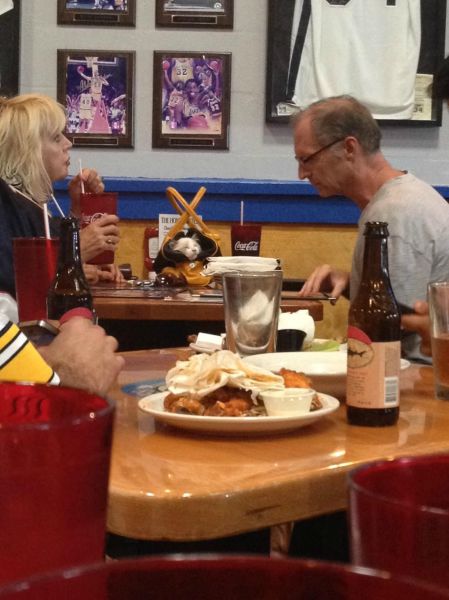 morning picdump 57 pics 5.html - 57 HD Photos | Premium Gallery 2013