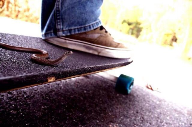 morning picdump 57 pics 5.html - 57 HD Photos | Premium Gallery 2013