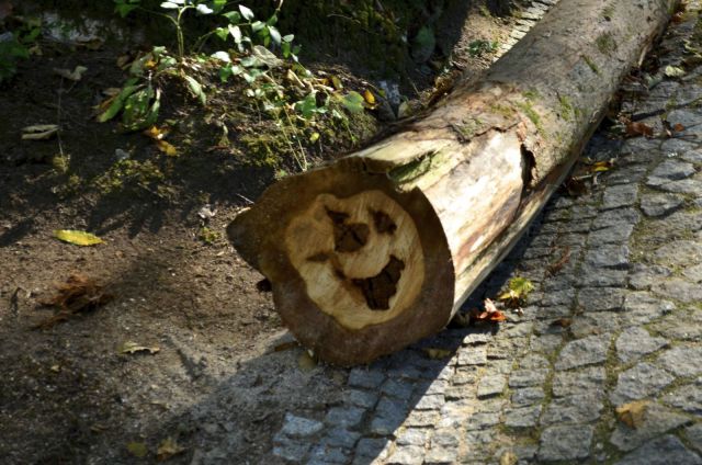 morning picdump 57 pics 5.html - 57 HD Photos | Premium Gallery 2013