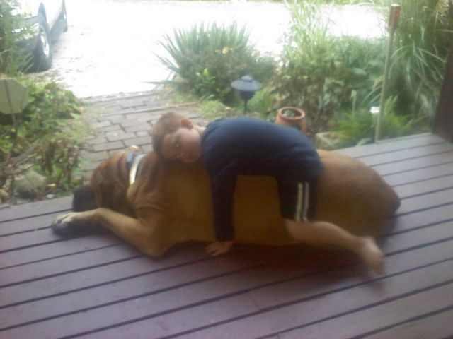 morning picdump 57 pics 5.html - 57 HD Photos | Premium Gallery 2013