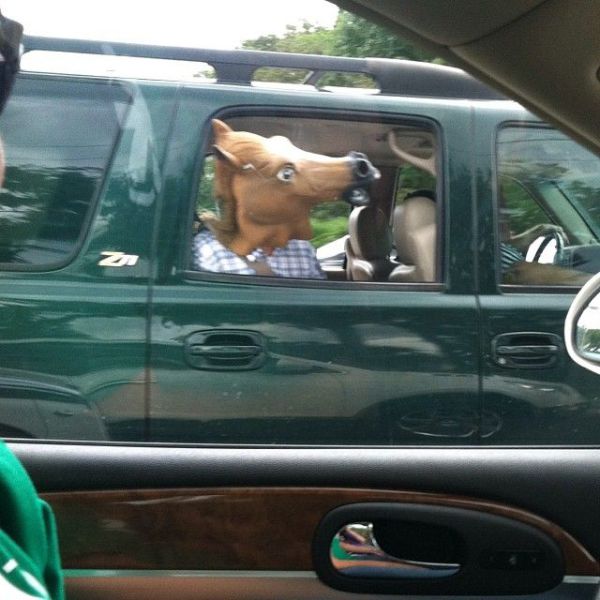 morning picdump 57 pics 5.html - 57 HD Photos | Premium Gallery 2013