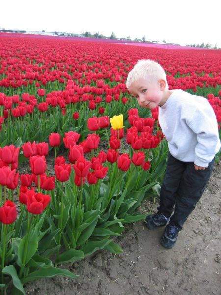 morning picdump 57 pics 5.html - 57 HD Photos | Premium Gallery 2013