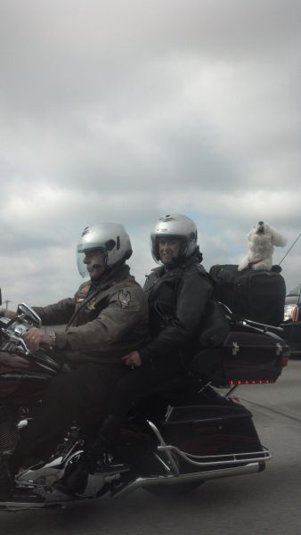 morning picdump 57 pics 5.html - 57 HD Photos | Premium Gallery 2013