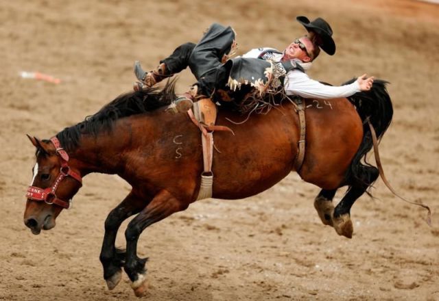 morning picdump 57 pics 14.html - 57 HD Photos | Premium Gallery 2013