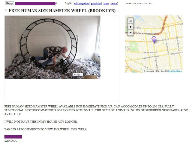 morning picdump 53 pics 17.html - 53 HD Photos | Premium Gallery 2013