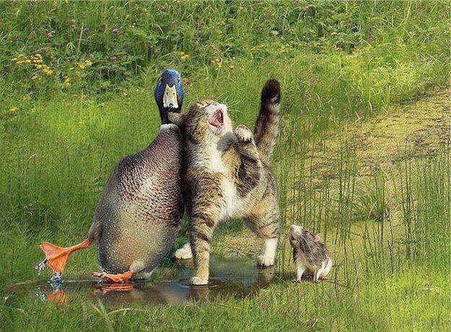 morning picdump 53 pics 17.html - 53 HD Photos | Premium Gallery 2013