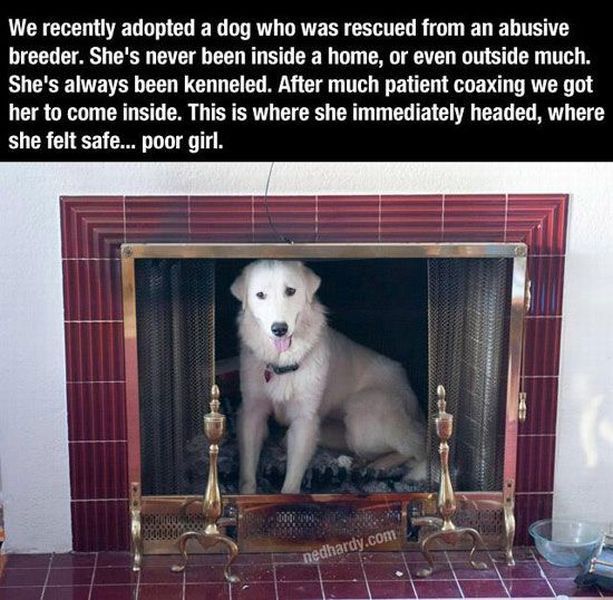 morning picdump 53 pics 17.html - 53 HD Photos | Premium Gallery 2013