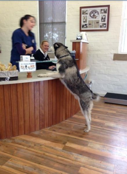 morning picdump 54 pics 22.html - 54 HD Photos | Premium Gallery 2013