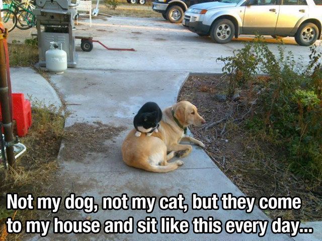 morning picdump 54 pics 22.html - 54 HD Photos | Premium Gallery 2013