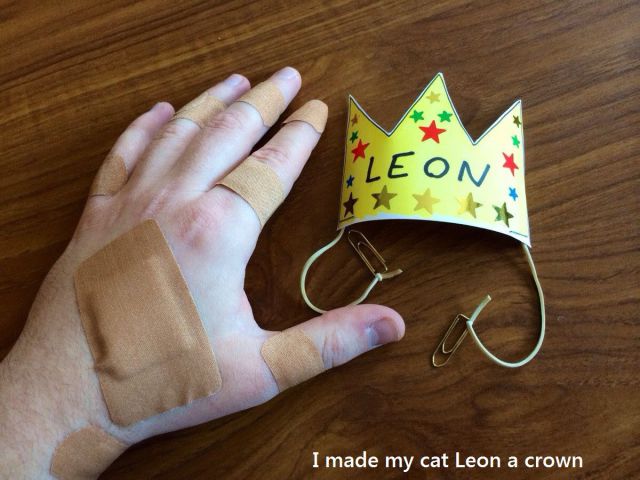 morning picdump 54 pics 22.html - 54 HD Photos | Premium Gallery 2013