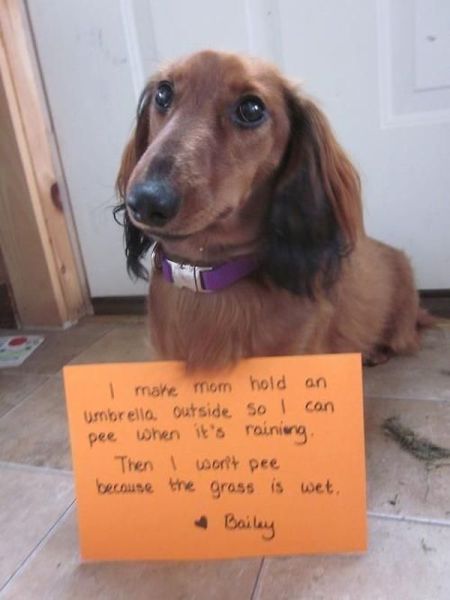 morning picdump 57 pics 7.html - 57 HD Photos | Premium Gallery 2013